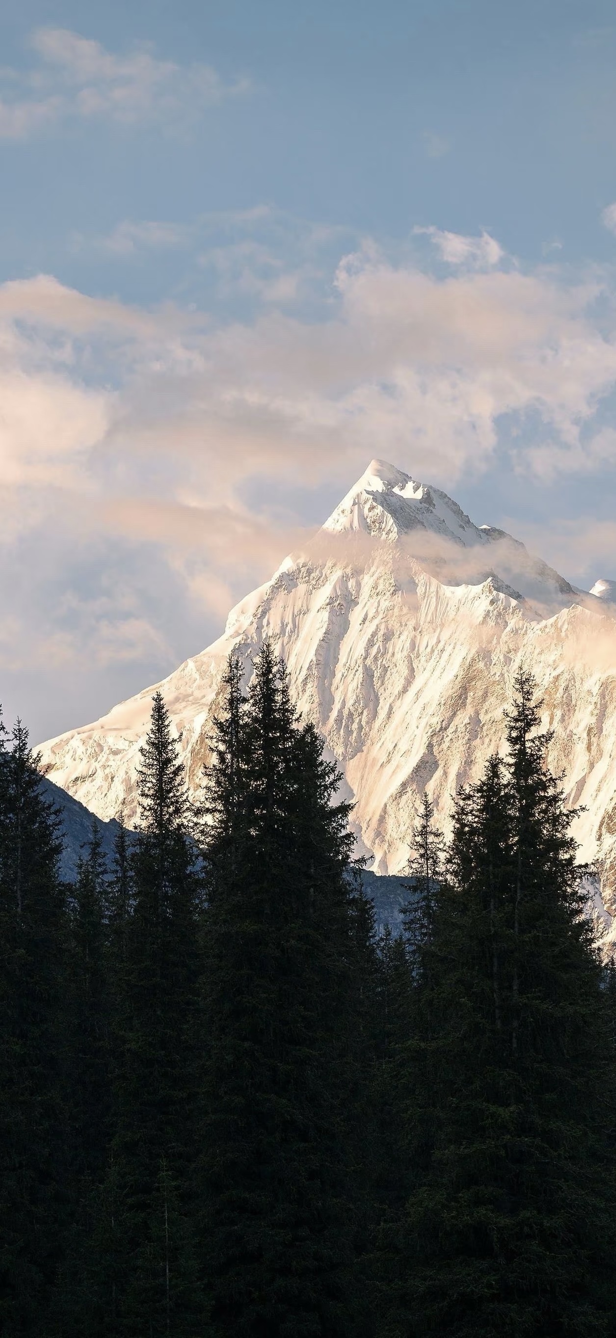 Fall wallpaper 2025 featuring Snow Mountain in Fall