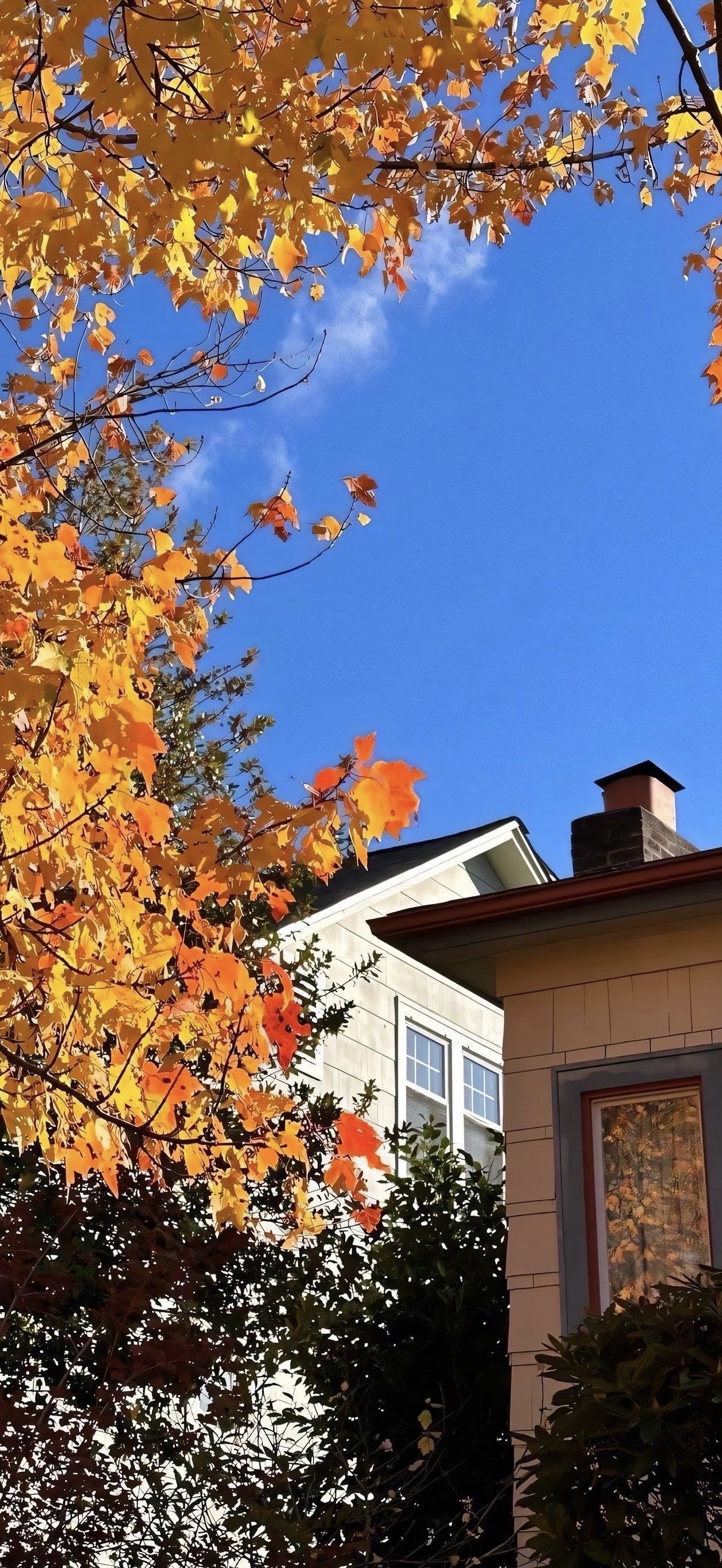 Artisan fall wallpaper with handcrafted texture