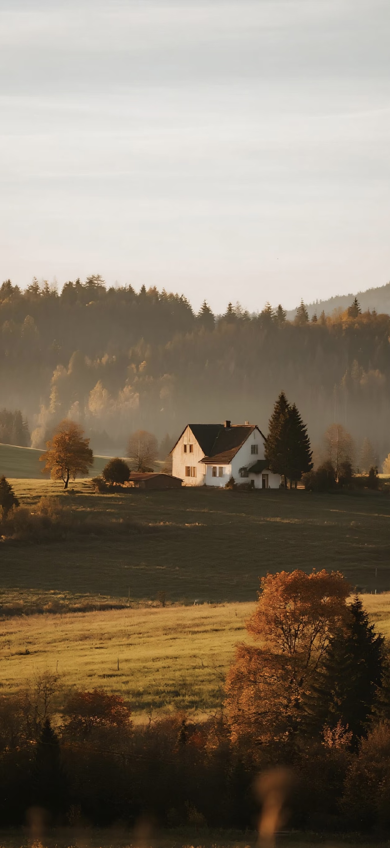 Minimalist fall wallpaper 2025 for iOS